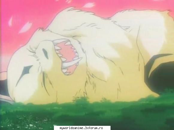 :uimit: inuyasha