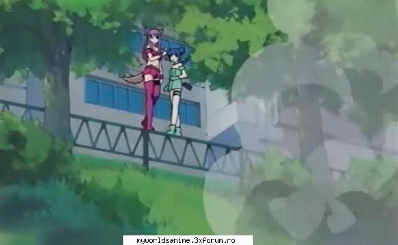 mew zacuro
