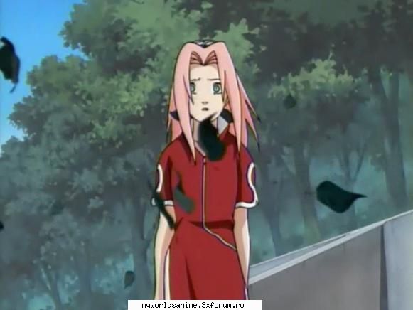 sakura haruno